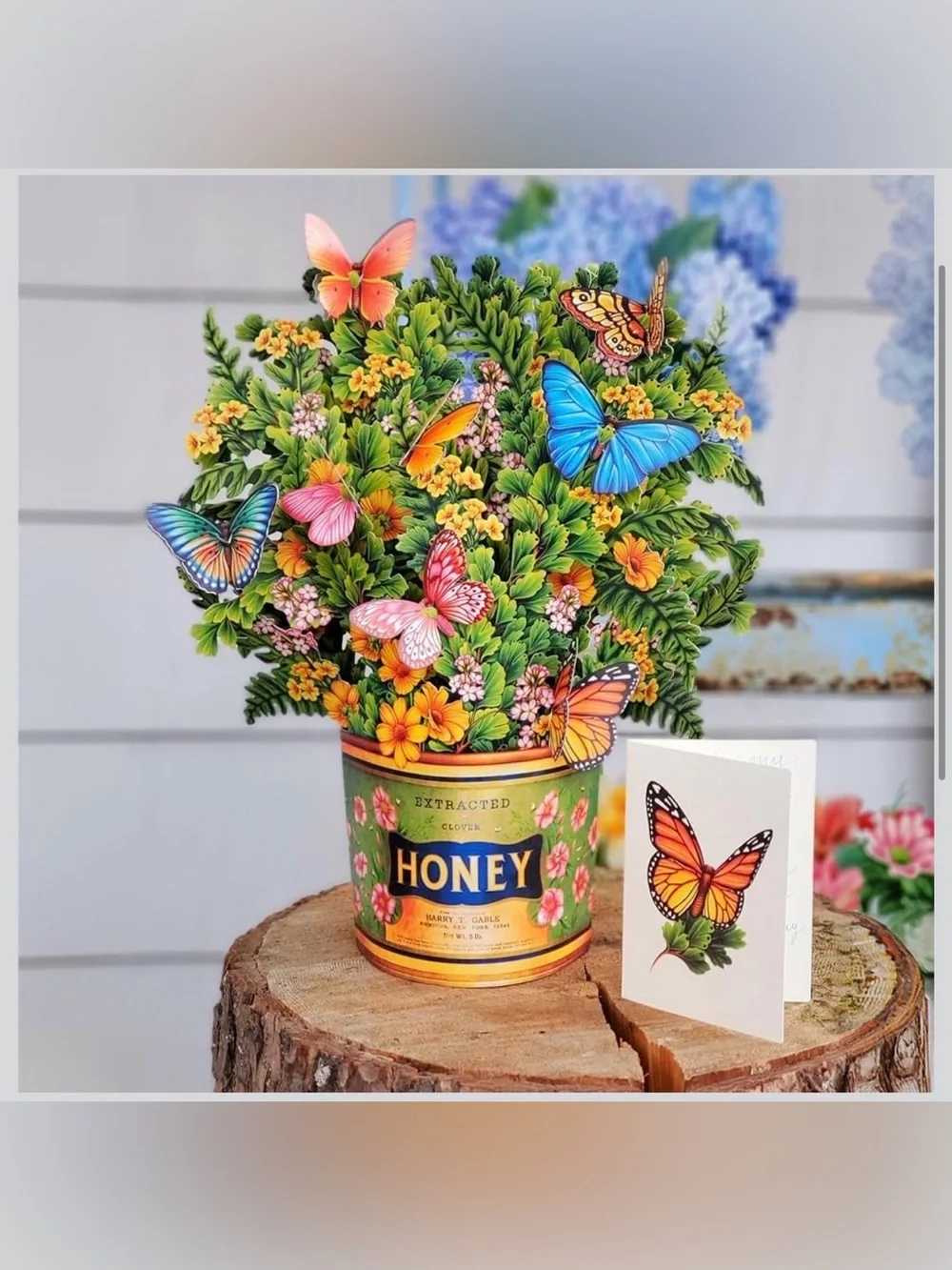Freshcut Paper Butterflies & Buttercups 12
